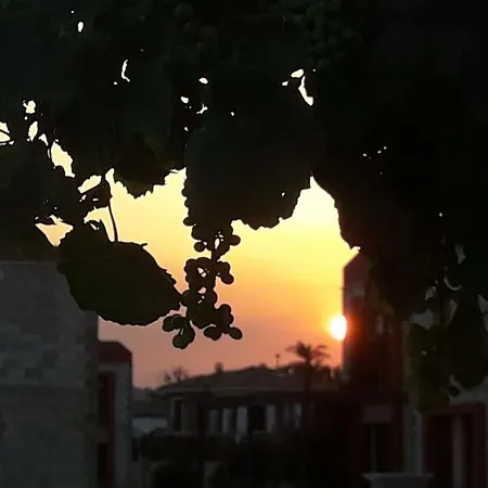 מלון Beyaz Tas Butik Ayvalı