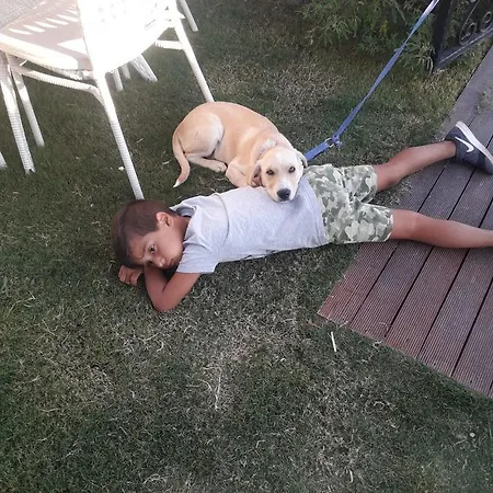 Beyaz Tas Butik מלון 2*