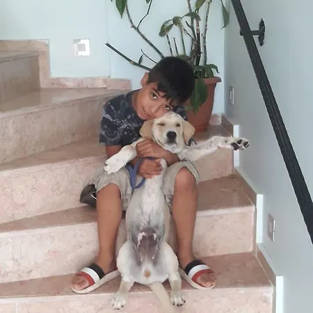 Beyaz Tas Butik מלון