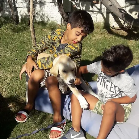 Beyaz Tas Butik 2* Ayvalı