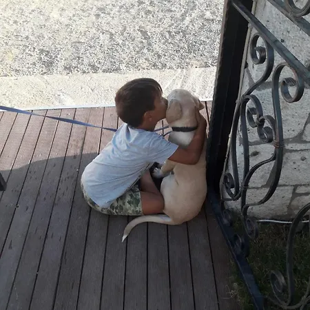 Beyaz Tas Butik 2* Ayvalı