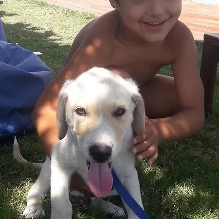 מלון Beyaz Tas Butik