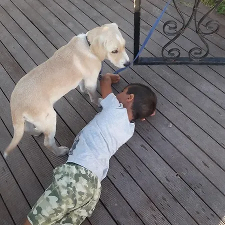 Beyaz Tas Butik מלון 2*