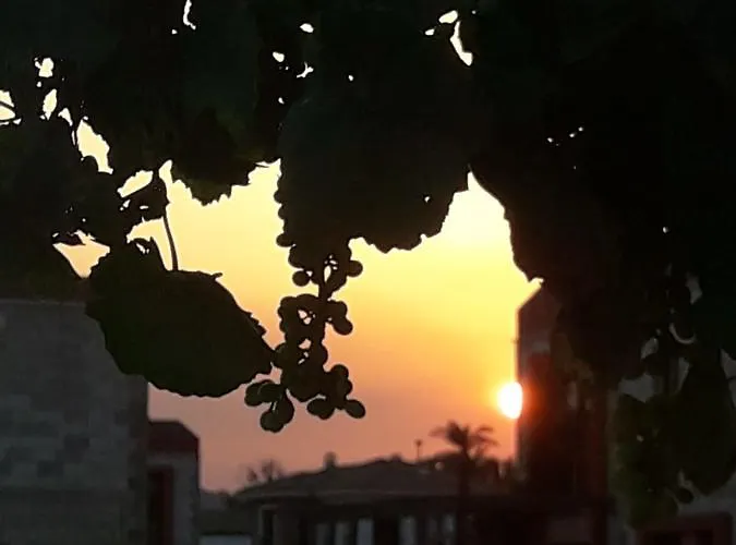 Ξενοδοχείο Beyaz Tas Butik Ayvalı