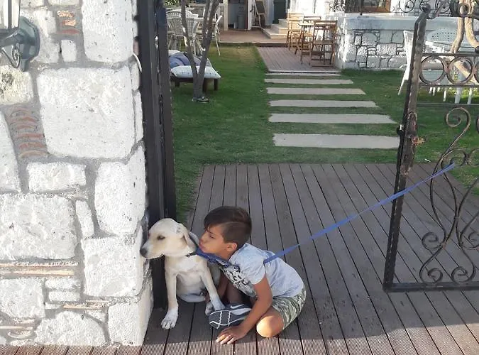 Beyaz Tas Butik Ξενοδοχείο 2*