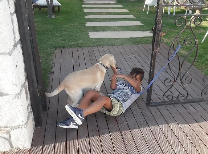 Beyaz Tas Butik Ξενοδοχείο