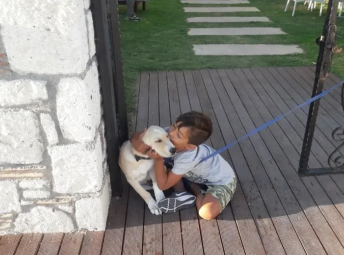 Beyaz Tas Butik Ξενοδοχείο