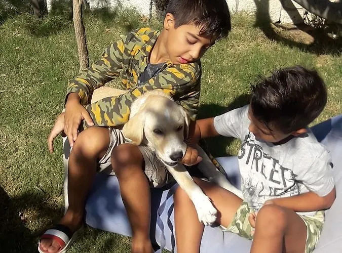 Beyaz Tas Butik 2* Ayvalı