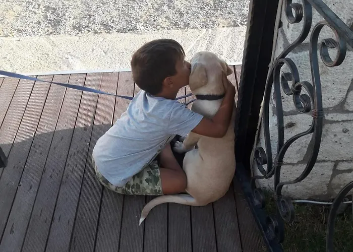 Beyaz Tas Butik 2* Ayvalı