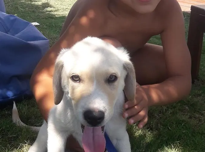 Ξενοδοχείο Beyaz Tas Butik