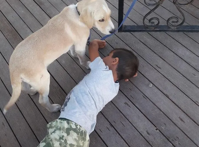 Beyaz Tas Butik Ξενοδοχείο 2*